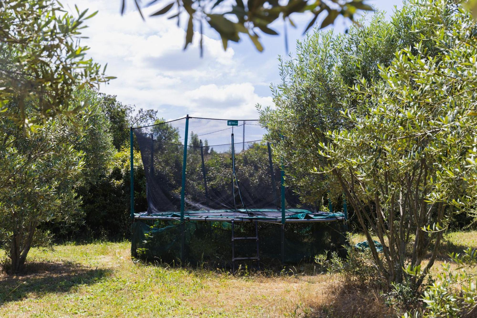 Gite Petit Luberon Chez Manon En Luberon - Vacation Rental In Guest House Lagnes Exteriér fotografie